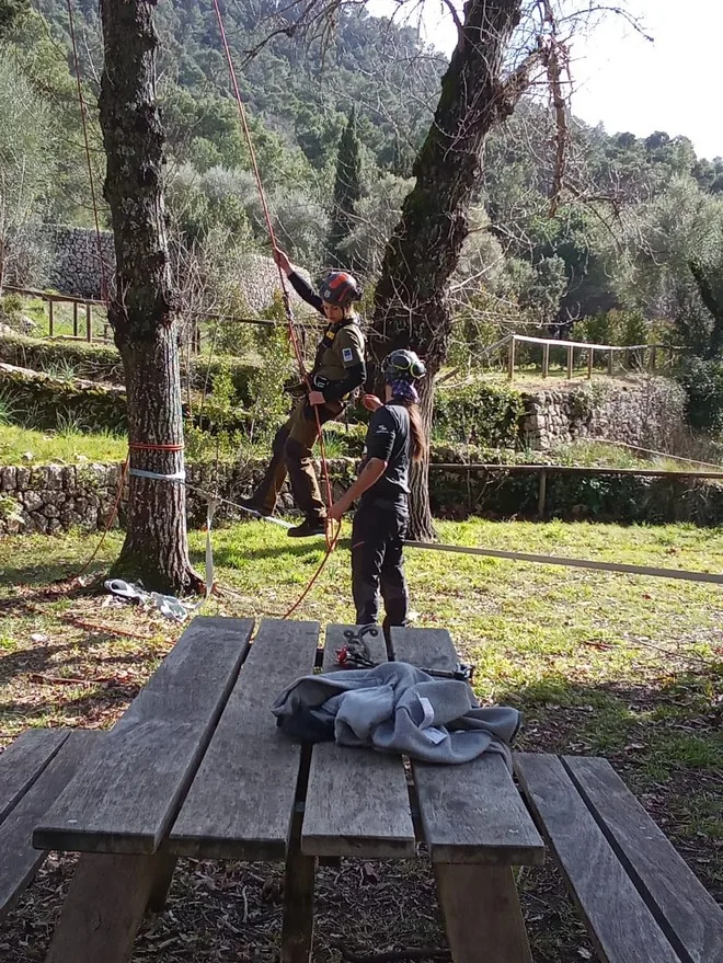 Formación práctica de trepa de árboles de Nemus