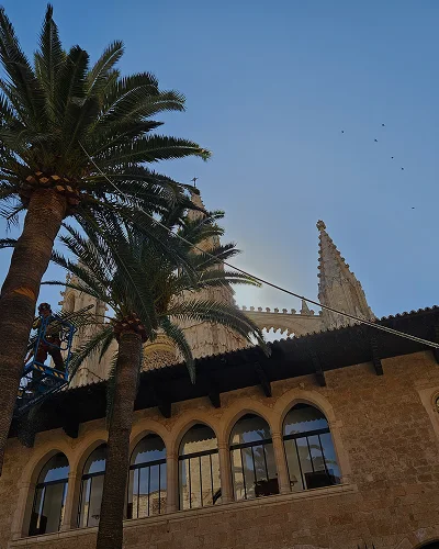 Tala de palmera en el Palacio de la Almudaina